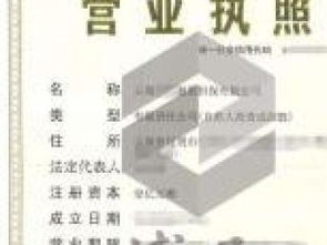 企業注冊與法律咨詢服務全攻略 深圳執照、區塊鏈執照、商業保理執照及重慶法律商務咨詢解析