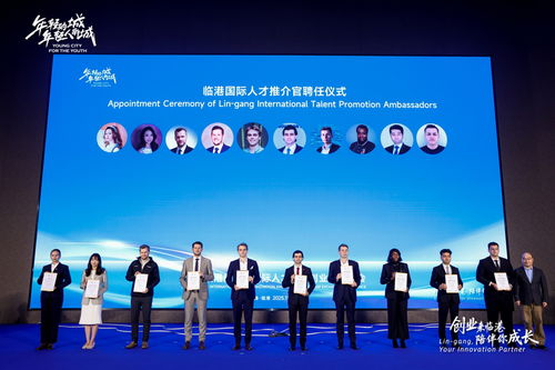六年引才超14萬！臨港新片區再推“小藍鯨”計劃，助力高校學子實習實踐與企業咨詢發展